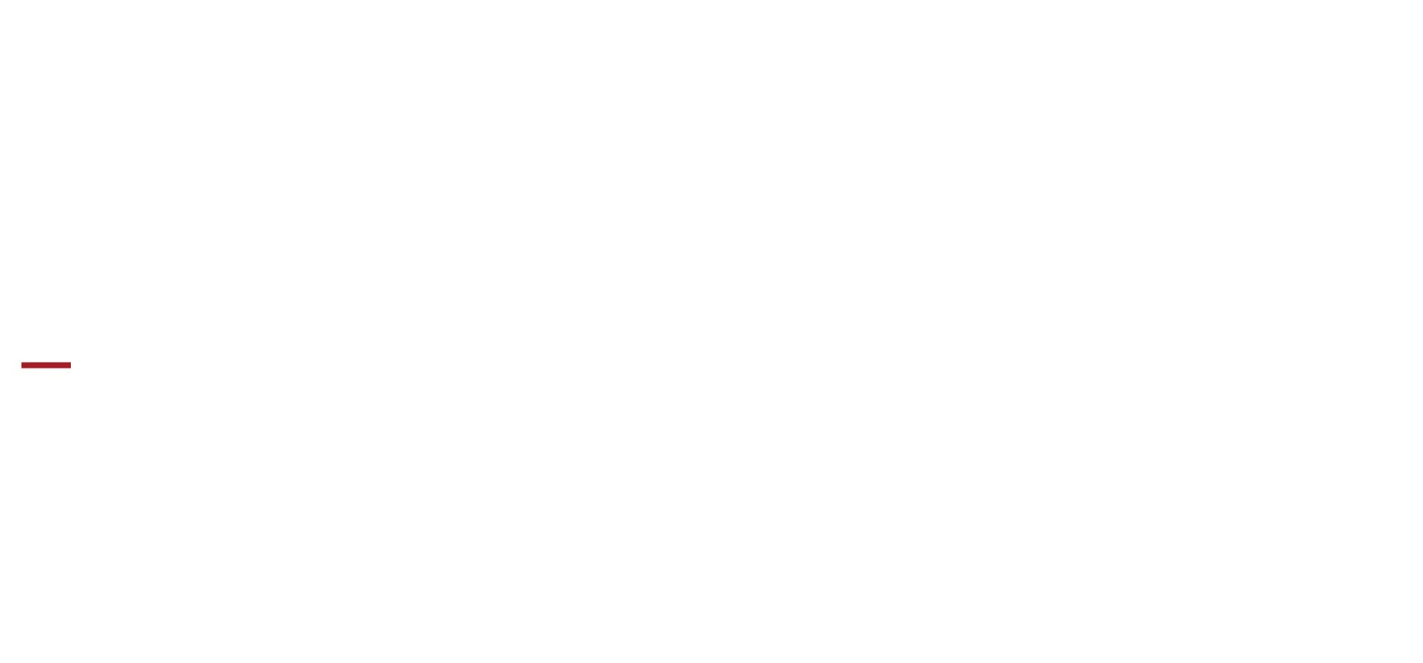 Logo Animation